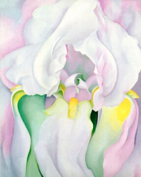 Light Iris by Georgia O'Keeffe, 1924